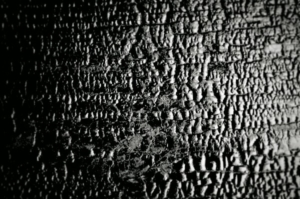 Shou Sugi Ban: Everything You Need To Know (DIY Guide)