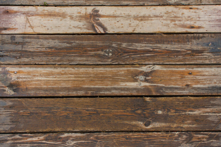 texture of untreated wood in natural conditions; kiln dried wood