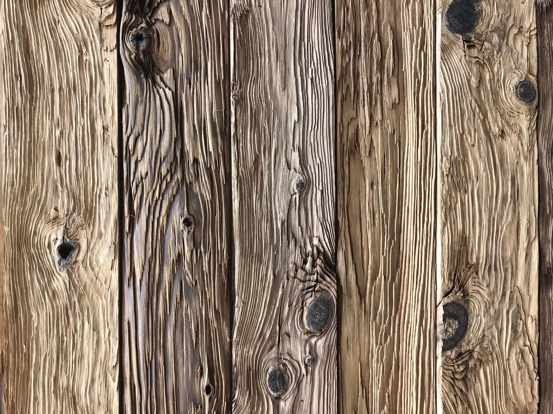 MUSHROOM WOOD