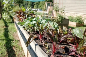 How To Build A DIY Reclaimed Wood Planter In 7 Easy Steps