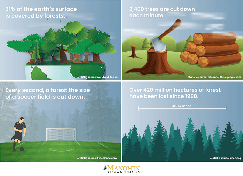 deforestation statistics infographic