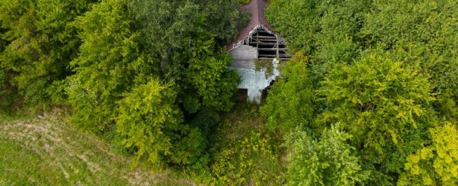 an old barn in the woods that is falling apart and probably riddled with wood mites