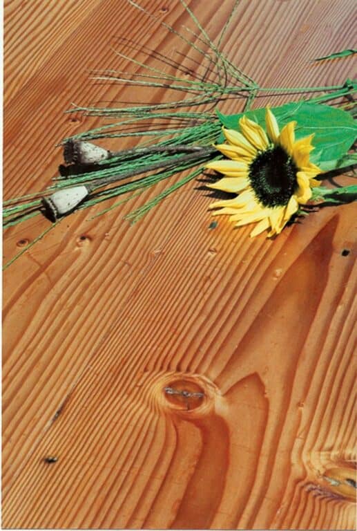Douglas Fir flooring signature reclaimed wood detail shot with a daisy