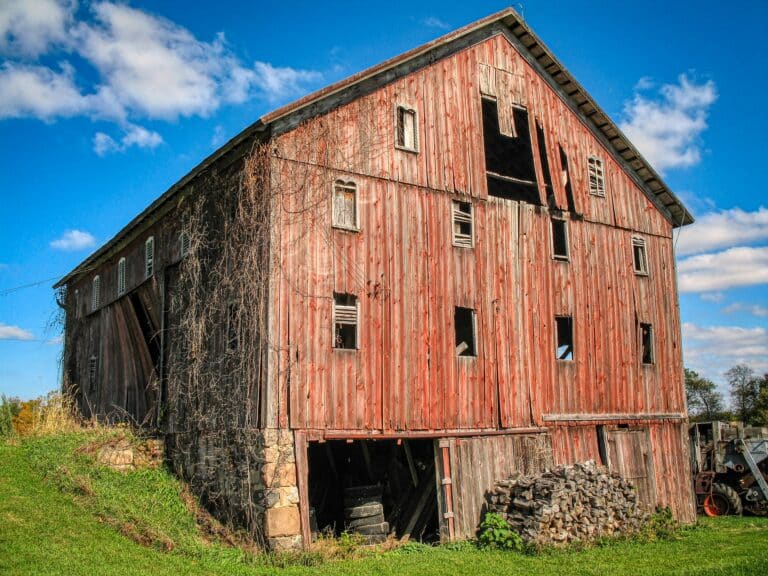 A weathered red barn with peeling paint and rustic wood paneling stands on grassy land under a blue sky. Firewood is stacked along the stone foundation, and vines climb the left side of the barn.